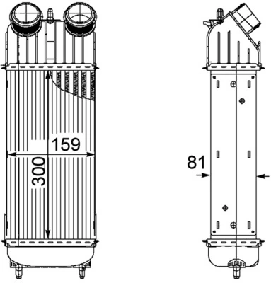 Enfriador de aire de admisión para Citroen C2  (JM)