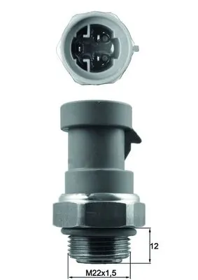 TSW66 Mahle Original