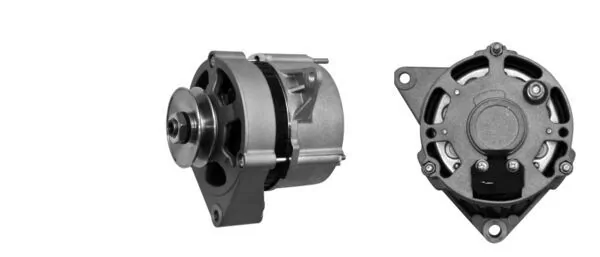 MG497 Mahle Original