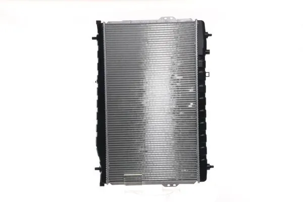 CR1295000S Mahle Original