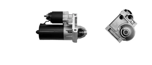 MS54 Mahle Original