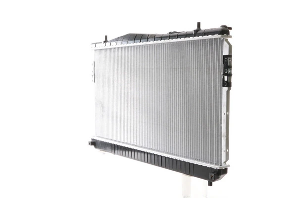 CR1311000S Mahle Original
