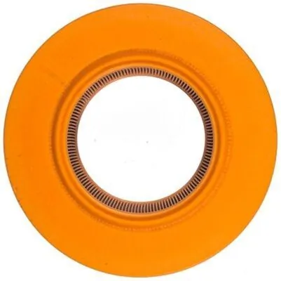 El filtro de aire Mahle Original LX720 precio, desde 10,69 EUR