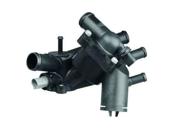 670152 Maxgear Termostato de agua