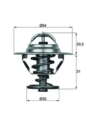TX1081D Mahle Original