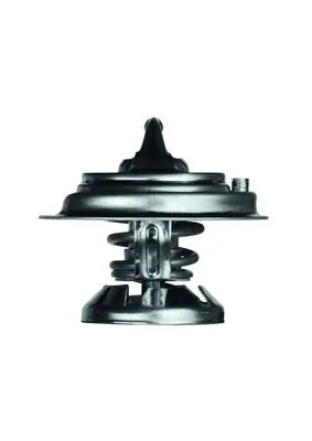 TX2980D Mahle Original Termostato de agua