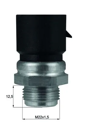 TSW38D Mahle Original