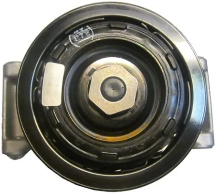 Compresor ac Mahle Original ACP724000P precio, desde 286,97 EUR