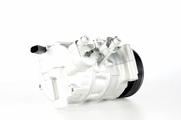 ACP1000P Mahle Original