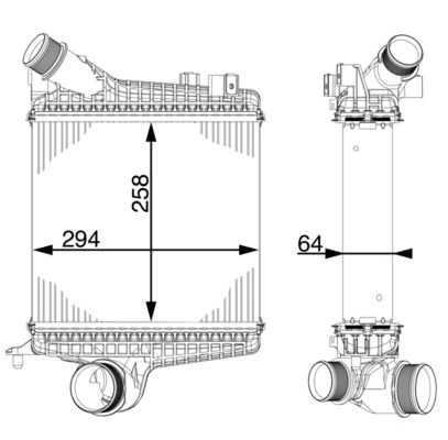CI221000P Mahle Original