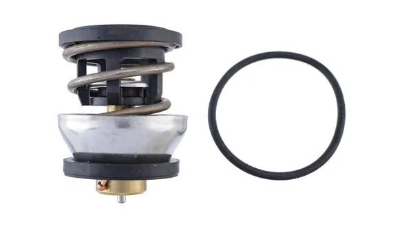 TX49091D Mahle Original