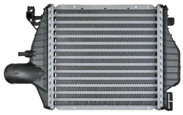 CI106000P Mahle Original