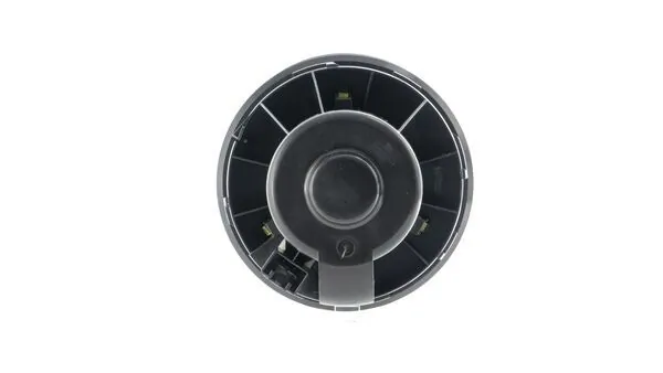 AB243000P Mahle Original