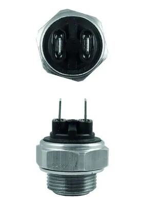 TSW59 Mahle Original Interruptor térmico