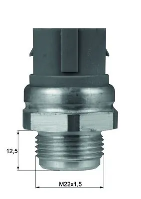 TSW48D Mahle Original
