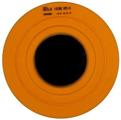 Filtro de aire LX1035 Mahle Original