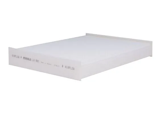 LA891 Mahle Original Filtro antipolen