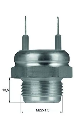 TSW6D Mahle Original