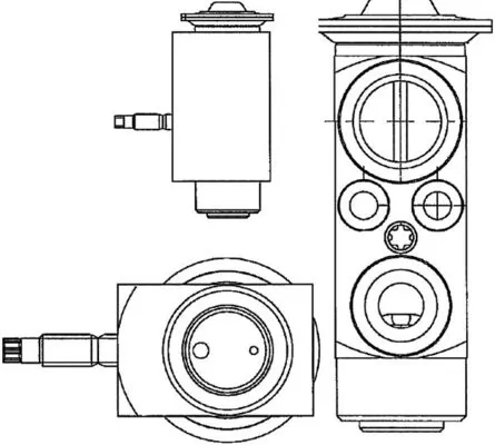 AVE66000P Mahle Original