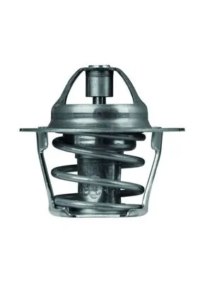 Termostato 5495311 Fiat/Alfa/Lancia