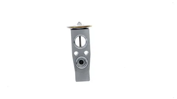 AVE178000P Mahle Original