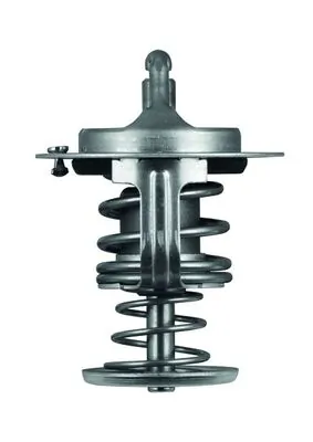 TX8280D Mahle Original Termostato de agua