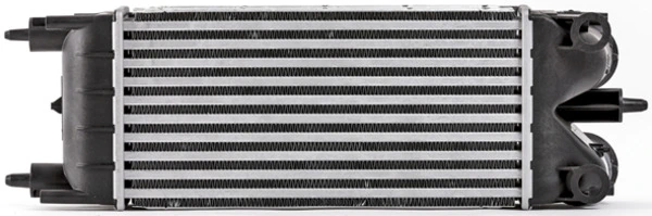 CI529000P Mahle Original