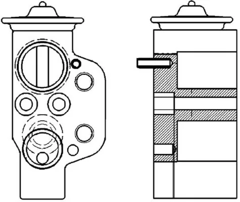 AVE115000P Mahle Original