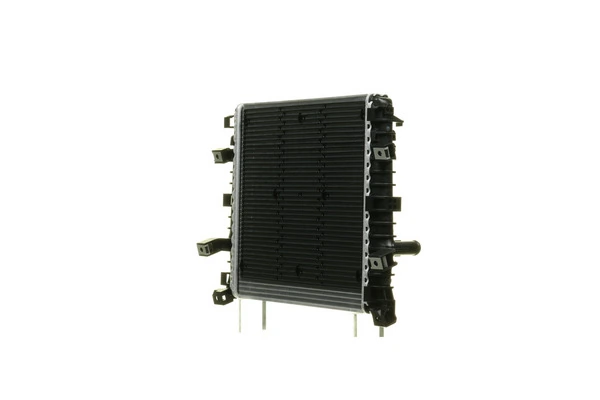 CR1025000P Mahle Original