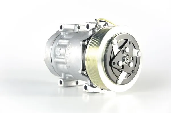 ACP124000P Mahle Original
