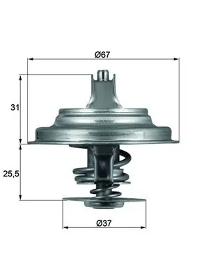 TX2580D Mahle Original