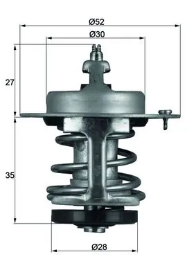 TX6979 Mahle Original