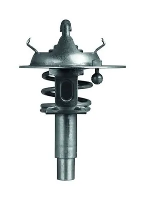 TX10690D Mahle Original Termostato de agua