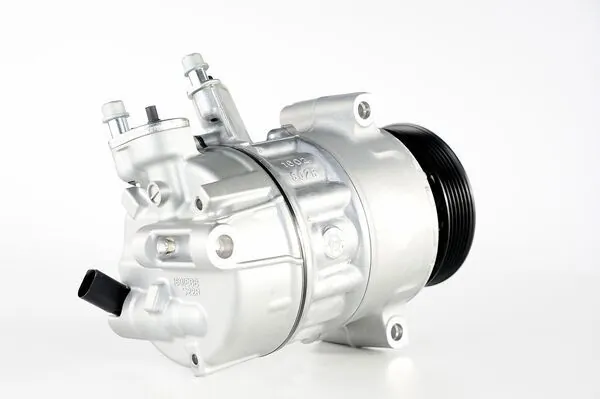 ACP6000P Mahle Original