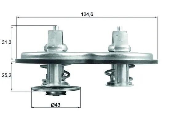 Termostato refrigerante TRUCK ACTROS  camiones tractores (2011-2026) original desde 40,10 €