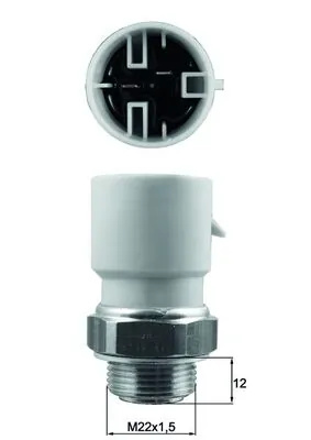 TSW61 Mahle Original