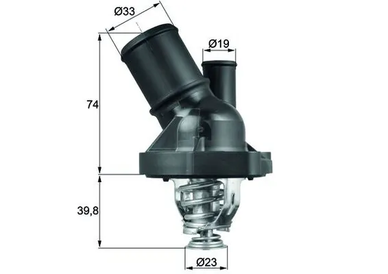 TI20090 Mahle Original