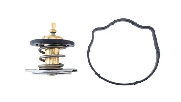 Termostato para Mercedes GL X164