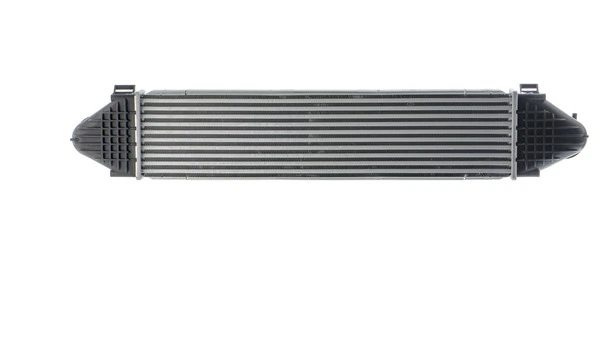 CI413000P Mahle Original