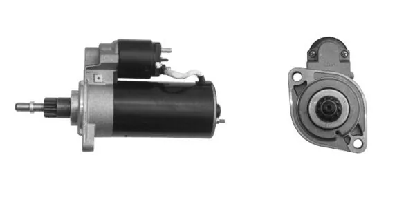 MS306 Mahle Original
