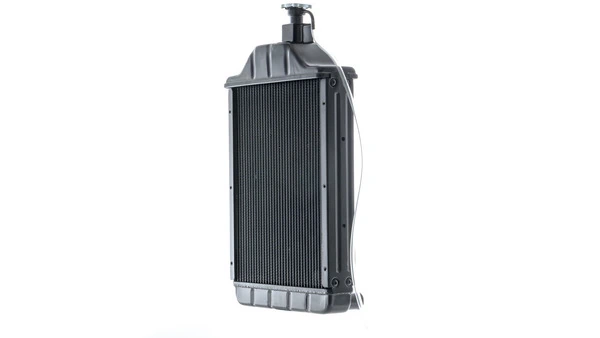 Água radiador Massey Ferguson 1669650M94 precio, desde 398,62 EUR