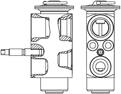 AVE113000P Mahle Original