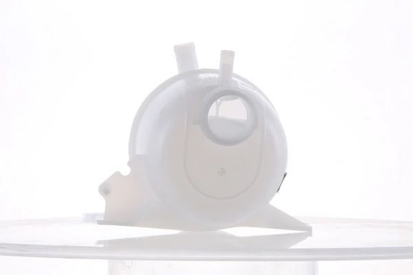 Botella de refrigeración Renault LOGAN 1 LS