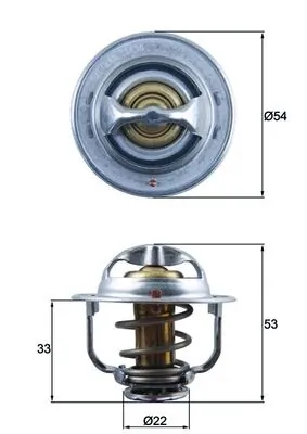 TX17989D Mahle Original Termostato de agua