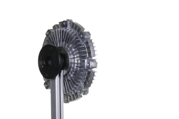 CFC89000P Mahle Original