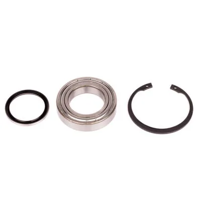 MSX481KIT Mahle Original