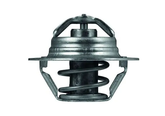 TX10089D Mahle Original