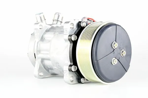 Compresor ac Mahle Original ACP983000P precio, desde 227,21 EUR