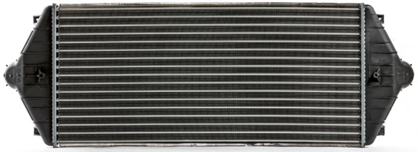 CI17000P Mahle Original
