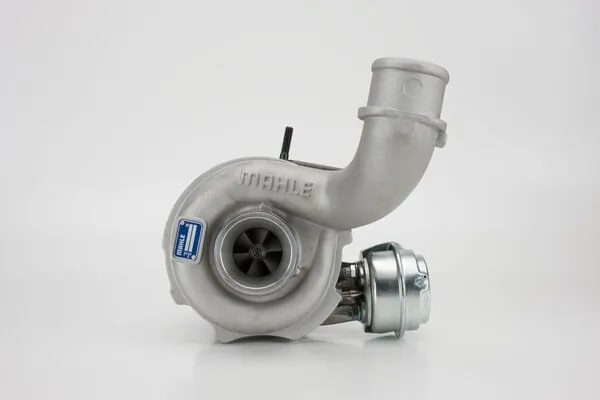 021TC15192000 Mahle Original